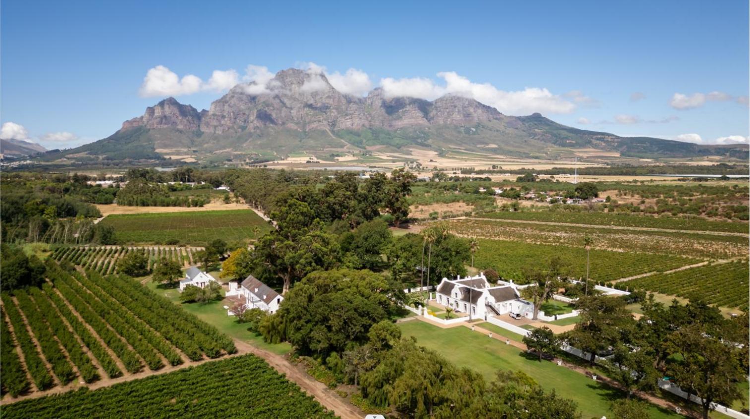 Allee Bleue Wine Estate Simondium ภายนอก รูปภาพ